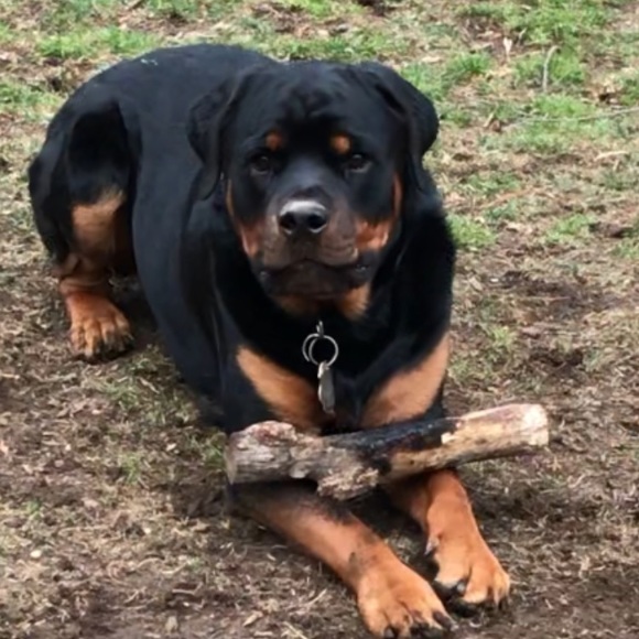 Meet your Posher, Christine - Picture 3 of 7